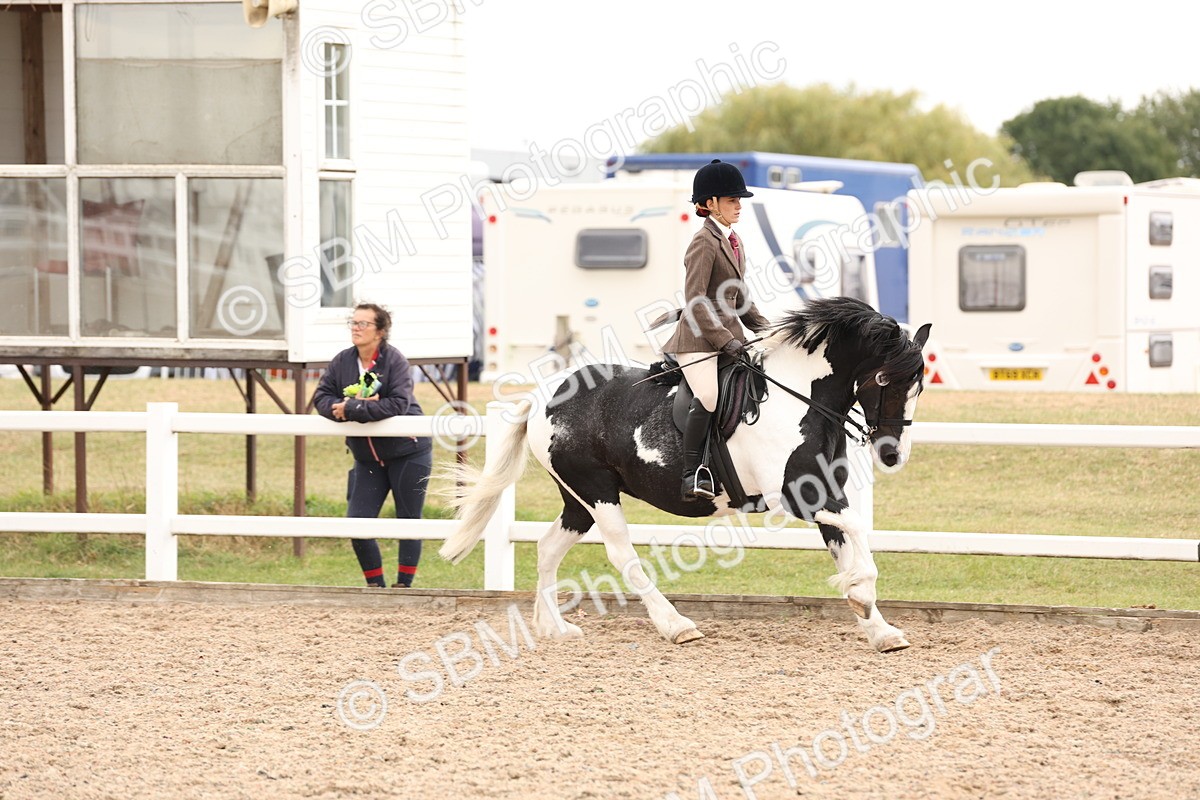 SBM_19663 - Class 216 - Ridden Traditional - Native Cob