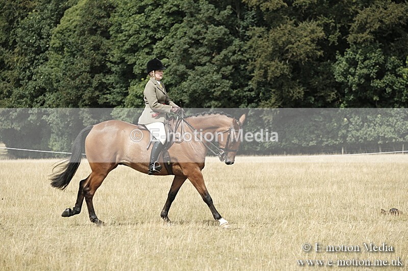 _PJP6114 - Ridden Championship BVRC Show 2018