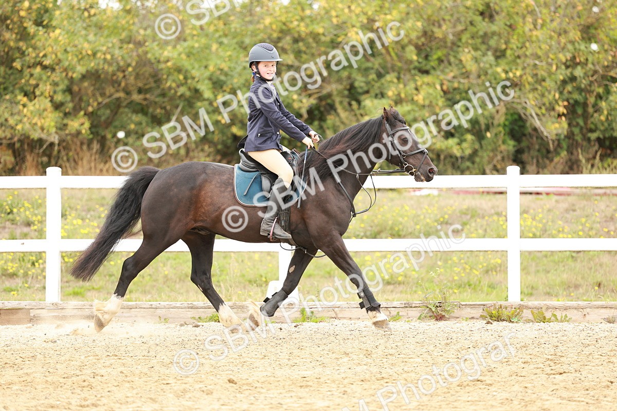 SBM_007401 - Class 2 - 50cm