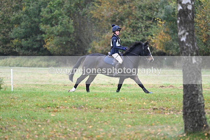 WJ7_1179 - 80cm Cam 2 Water Time 11:29 to 11:46