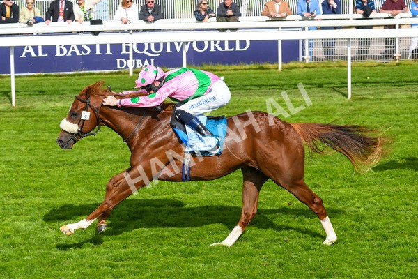 170523-Race 6-Mon Na Slieve-0804 - Race 6 4.45pm British EBF 40th Anniversary Novice Stakes