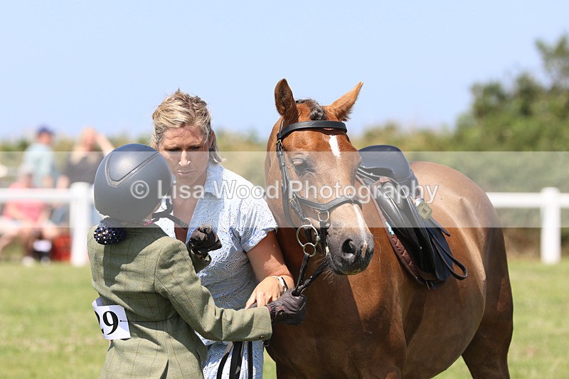 JPP_2799 - Class 21: Working Hunter 60cm