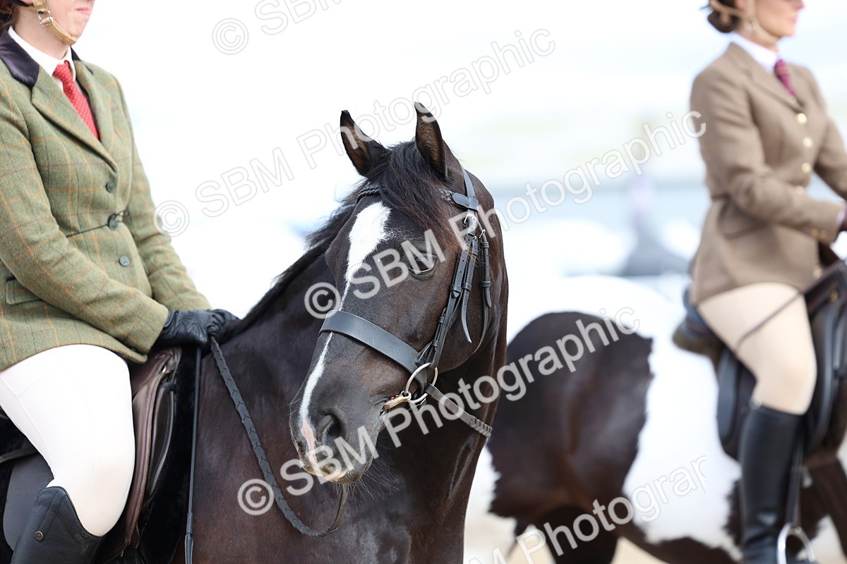 SBM_15822 - Class 314 - Family Horse - Pony