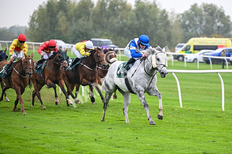 181025-Race 5-Mudamer-0840 - Race 5