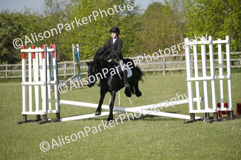 20250427-0396 - Class 12 - Rookie Jumping 40cm