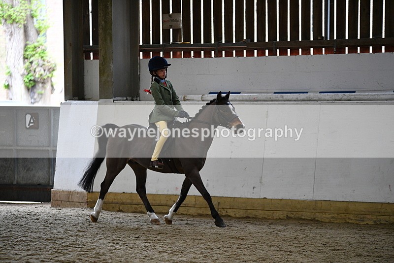 WJ5_6344 - Class 9 Ridden Veteran