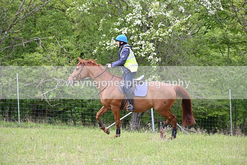 WJ6_1787 - Group 7 A&B Cameras