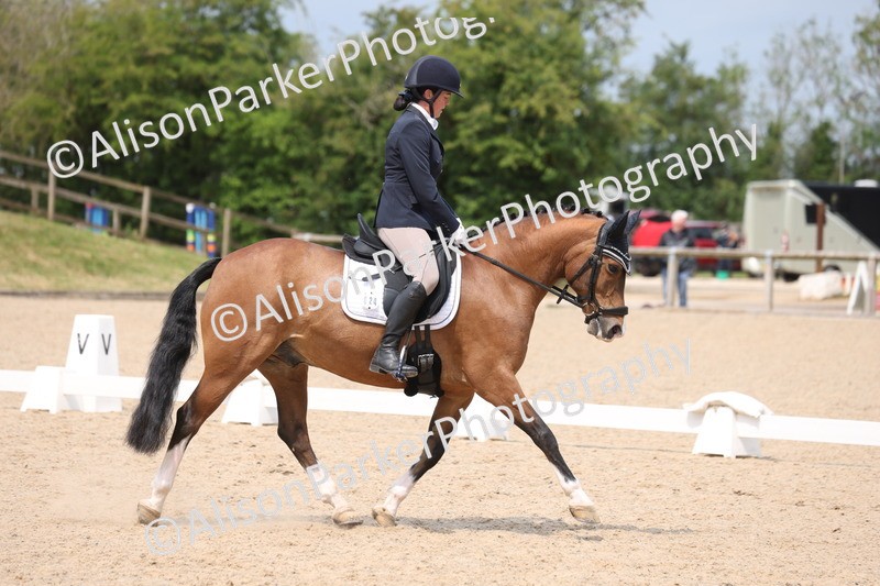 20250604-0546 - Class 3 - Novice 5