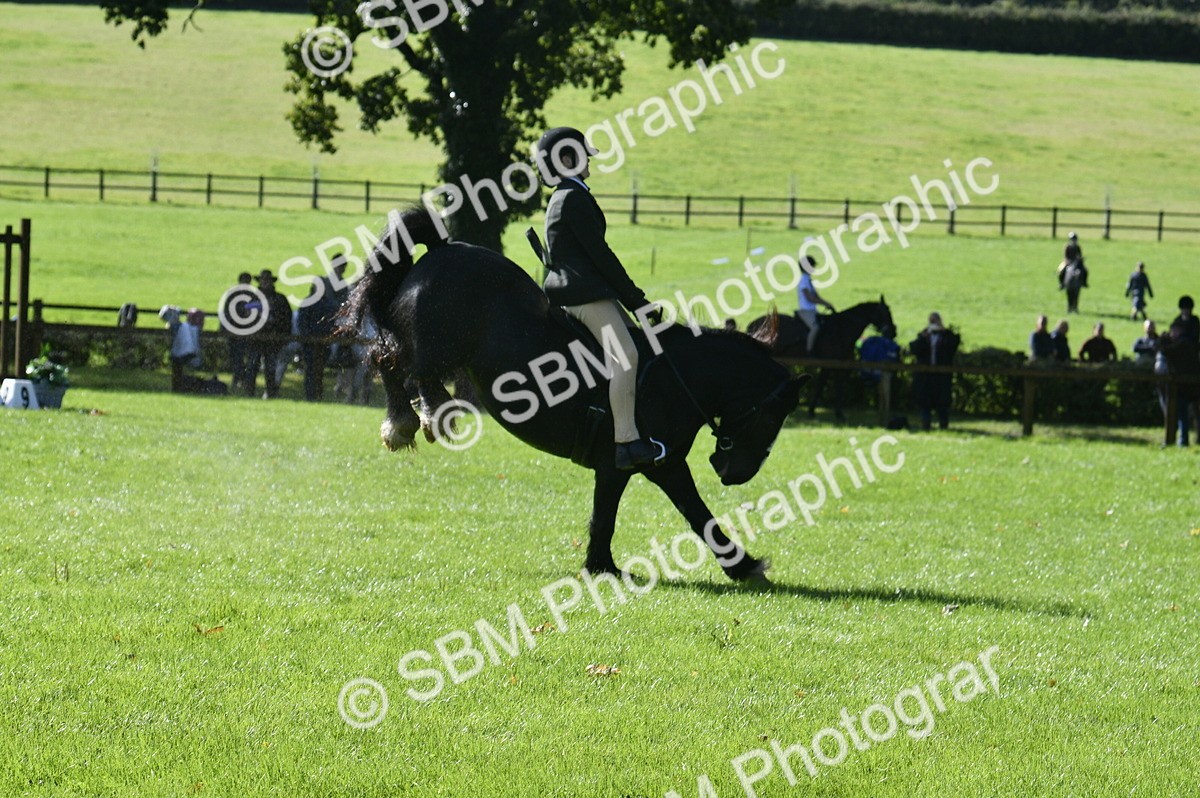 SBM_38168 - S31 - Novice & Newcomer Working Hunter Pony