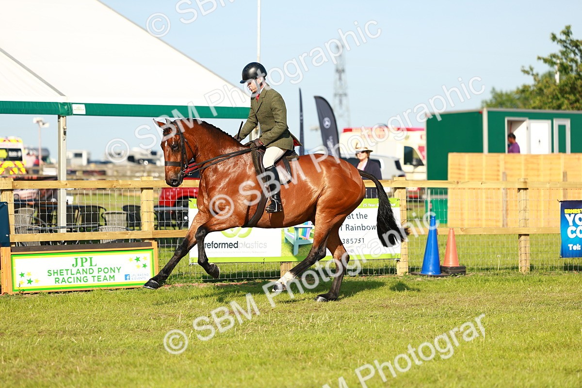 SBM_10784 - Class 66-69 - RIHS Ridden Hunters Inc Small Hunter