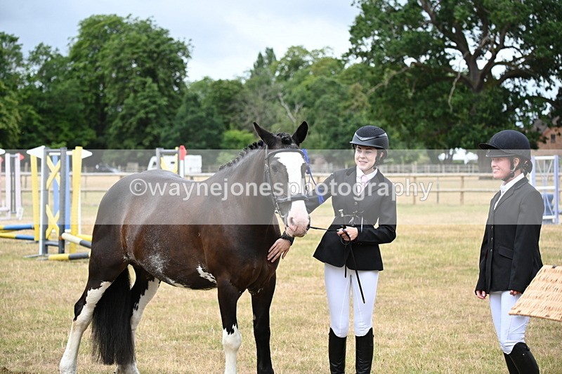 WJ6_4474 - Class 10 Coloured In-hand