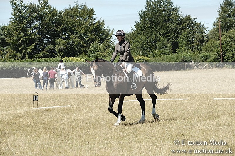 _PJP5907 - Dressage Classes BVRC Show 2018