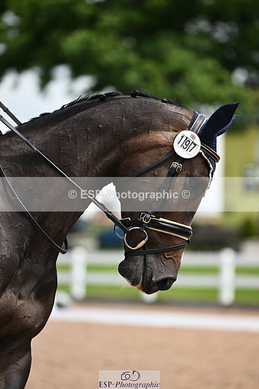 240621A-123947-02623 - Cls 5 BD Novice 37A