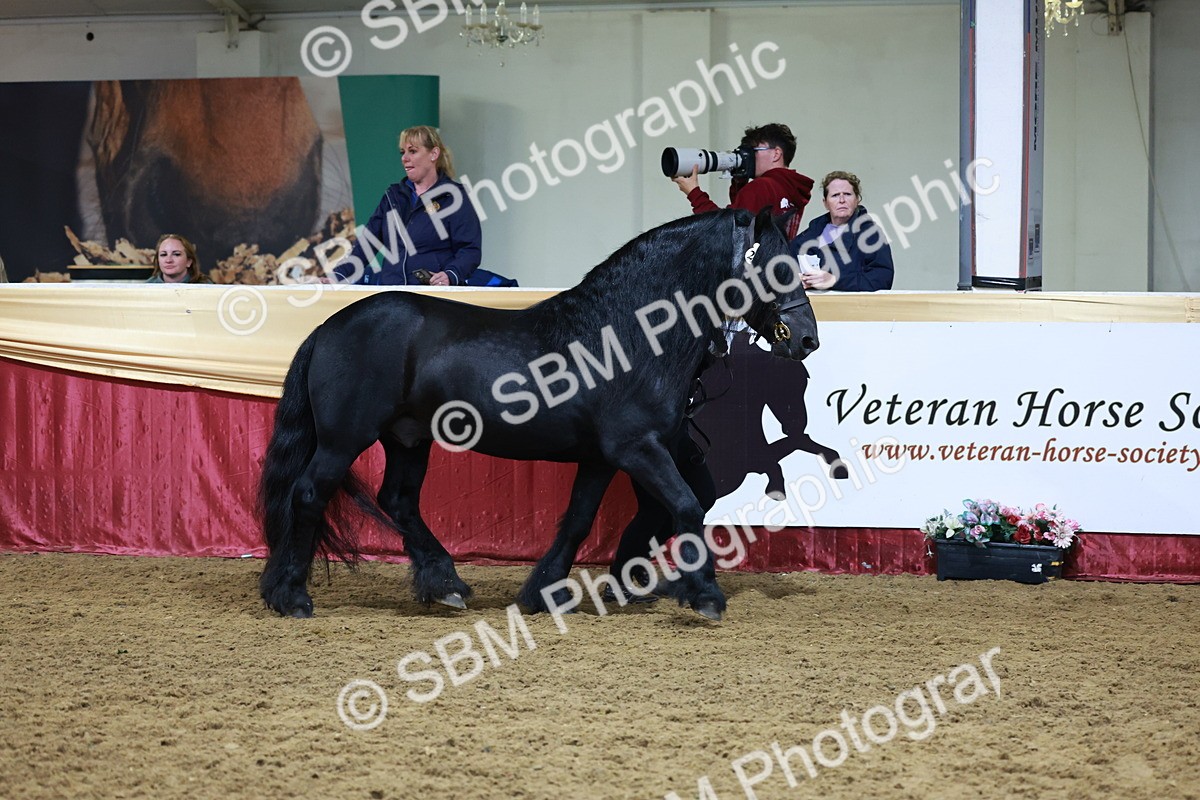 SBM_20405 - Class F - IH Small (148cm & Under)Champ