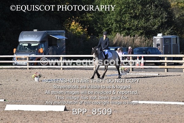 BPP_8509 - SHORT ARENA INTRO 1