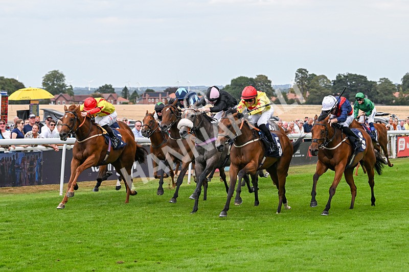 140825-Race 3-Rum Therapy-1038 - Race 3