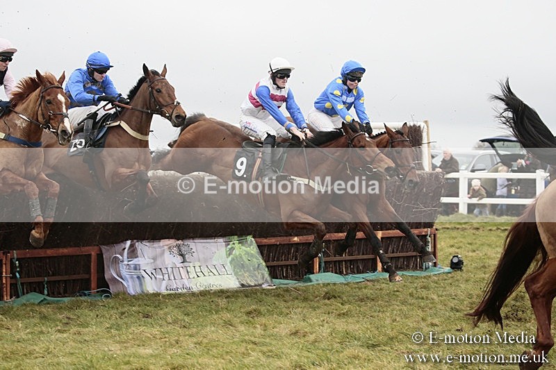 PtP 180218 379 - Combined Services Point-to-Point Larkhill 18/02/18