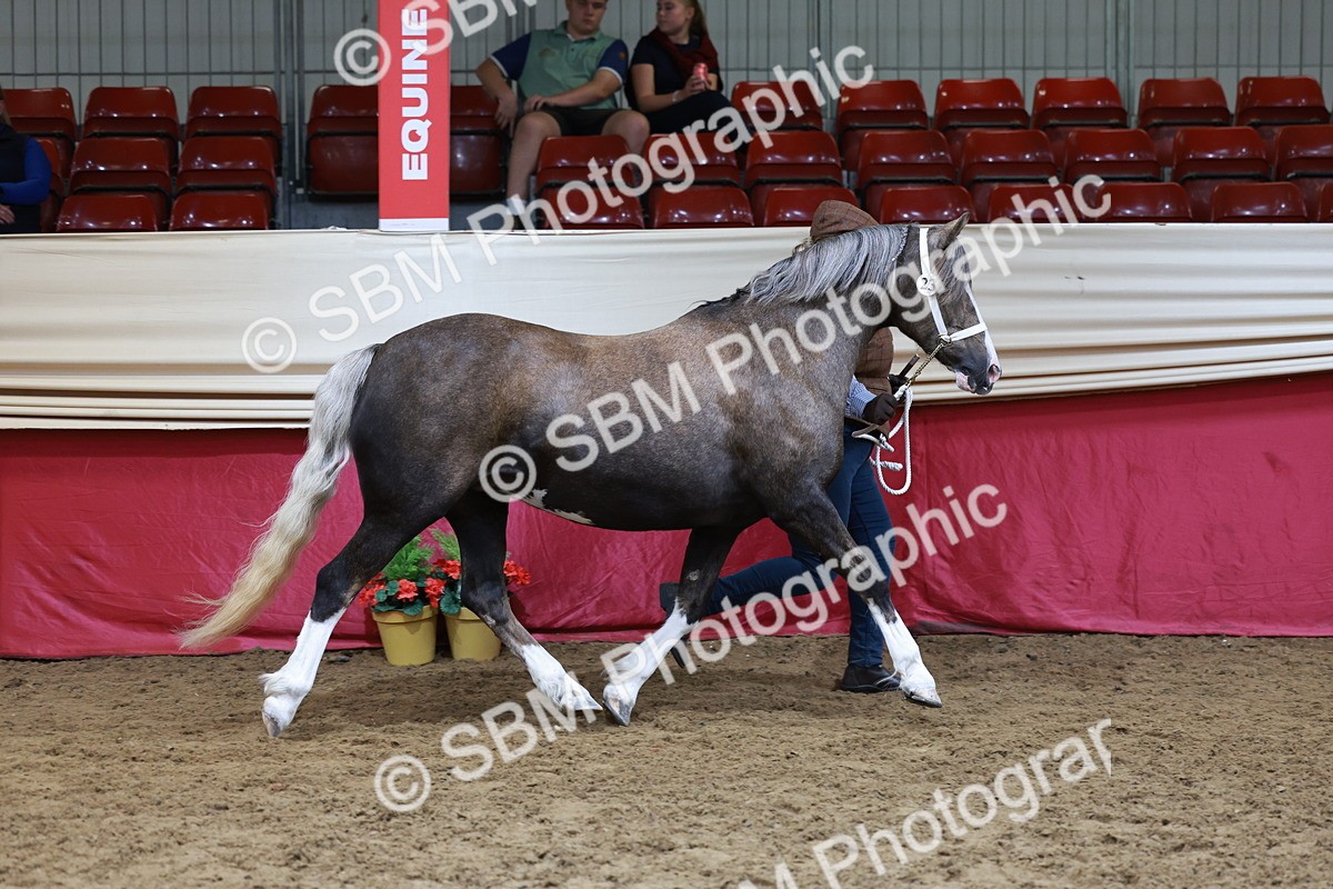 SBM_17394 - Class 951 - M&M IH Supreme Final