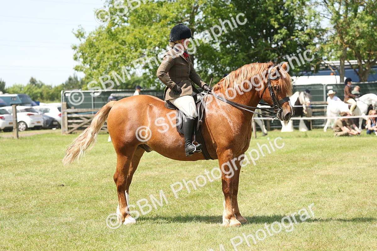 SBM_06959 - Class 26-30 - Mountain and Moorland Ridden