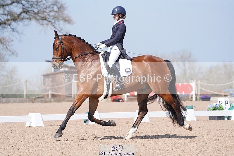 250404-122648-05659 - 028-Elizabeth.Allen-Heraldik