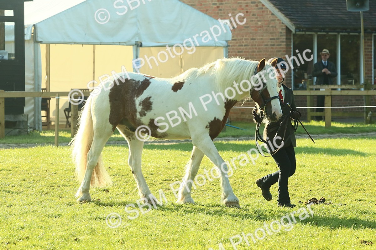 SBM_57421 - S37 - Starters In Hand Showing