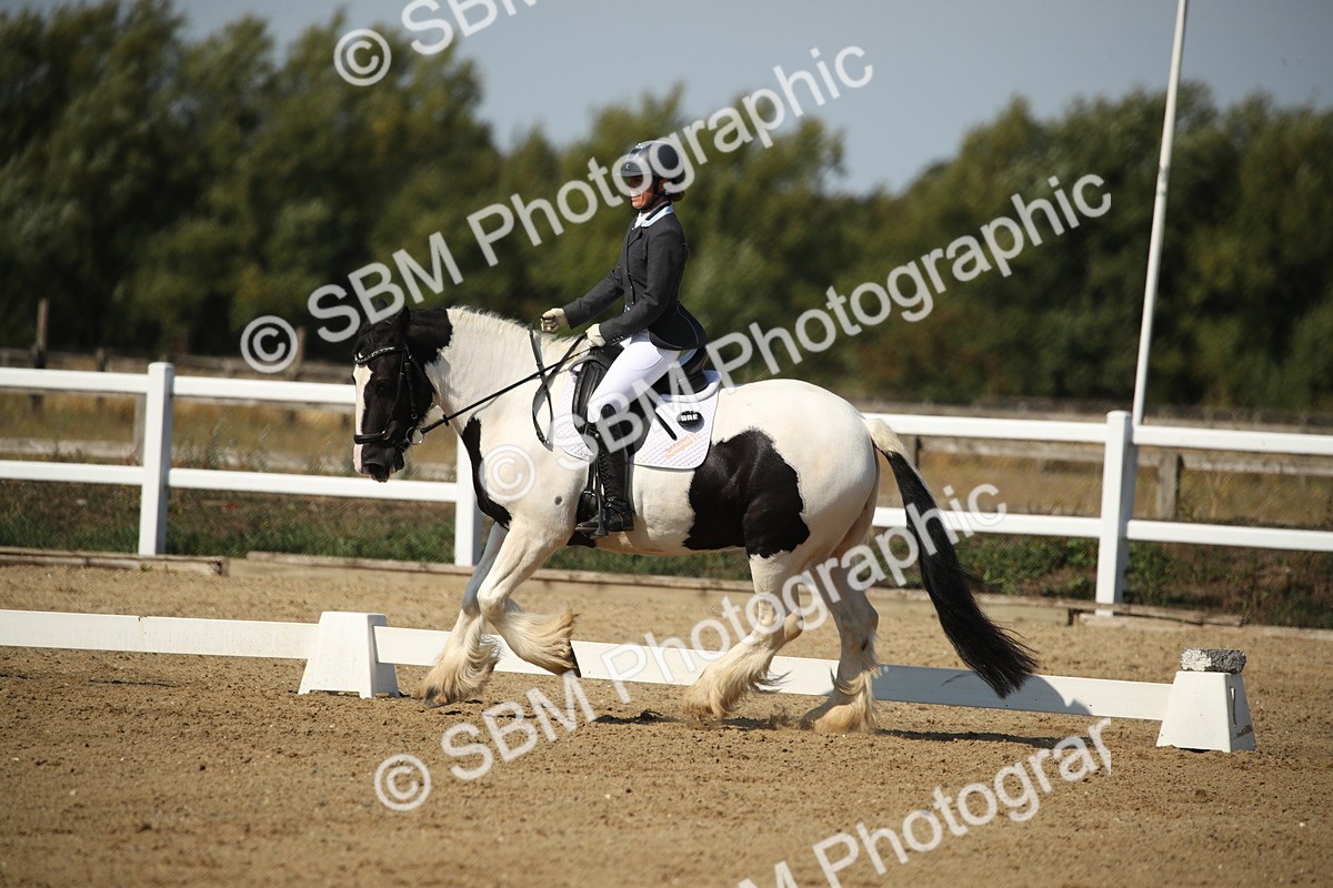 SBM_004174 - Class 11 - Novice 5 - 10.24-11.20