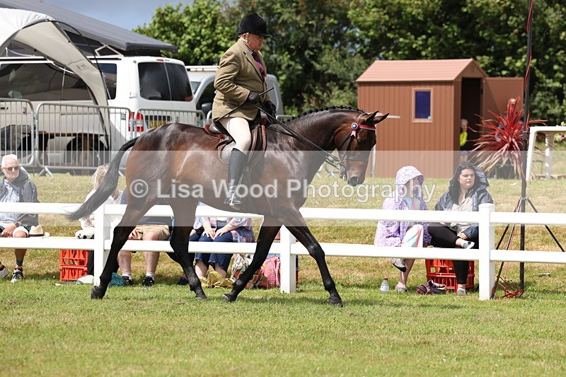 3E7A0851 - Class 8: Open Riding Horse/Hack