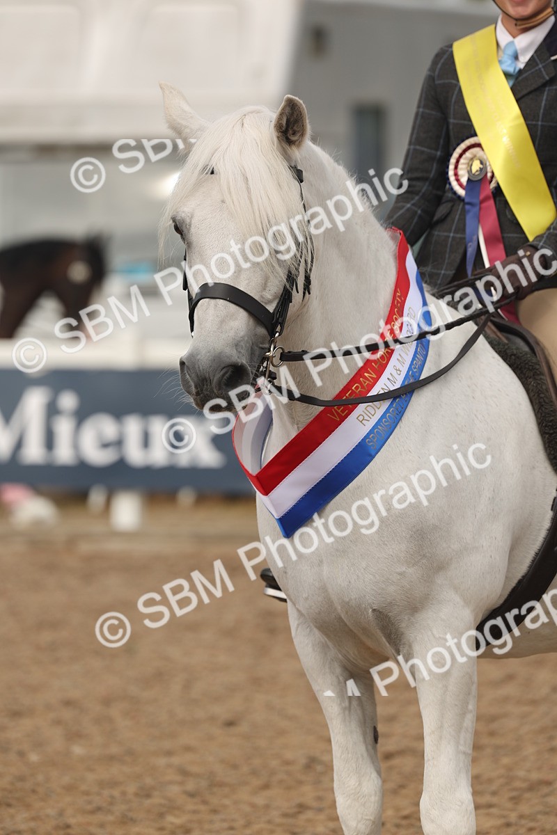 SBM_02019 - Class 14 - Ridden M&M Wildcard