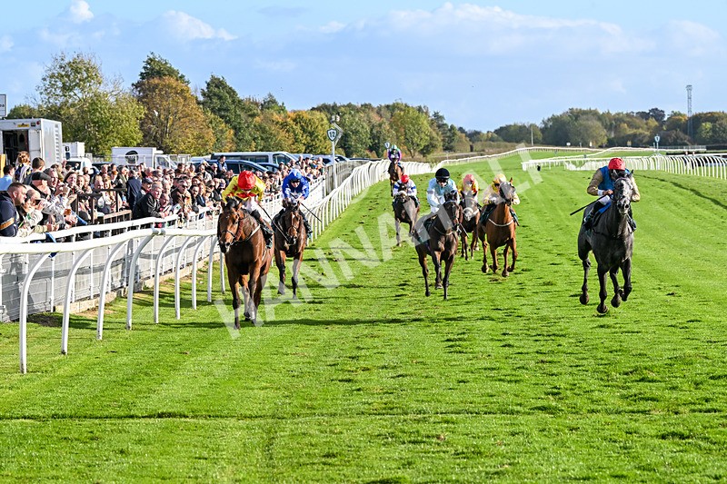 191024-Race 5-Vince Le Prince-4470 - Race 5