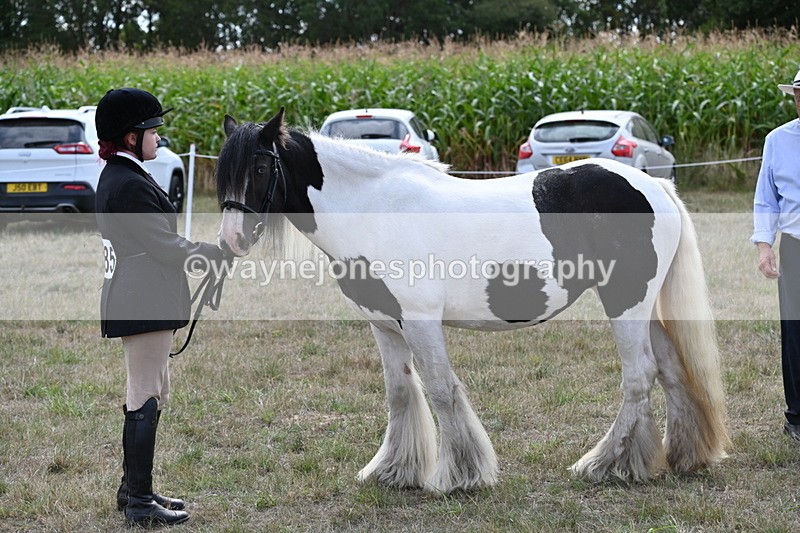 WJ6_6645 - Class 20 In-hand Cob