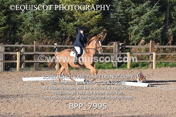 BPP_7995 - LONG ARENA PRELIM 4