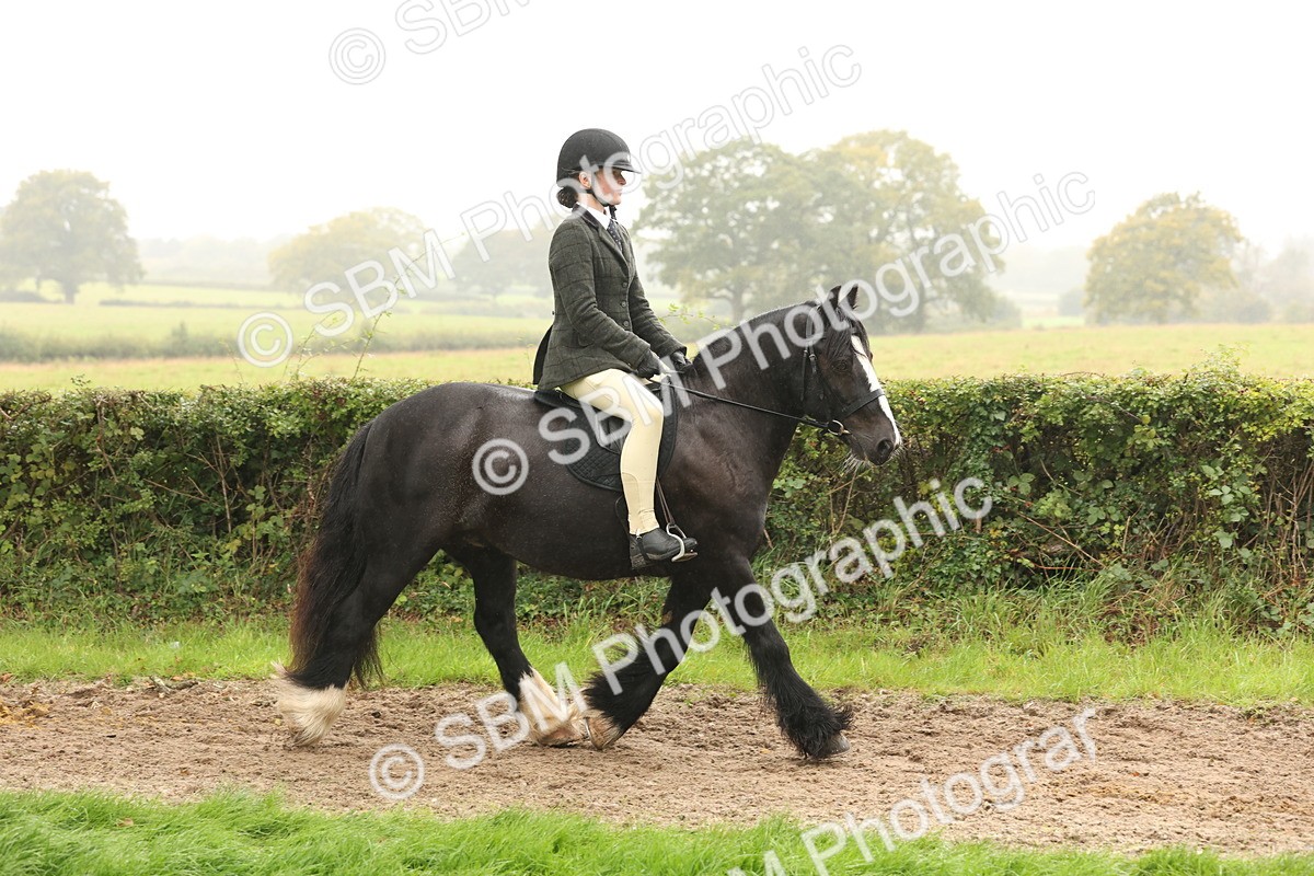 SBM_72680 - S70 - Traditional Cob Ridden