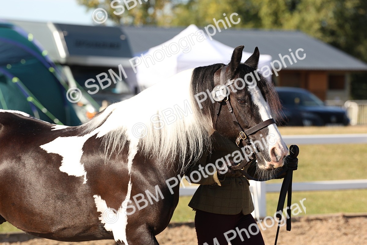 SBM_11715 - Class 204 - Young Handler 11 to 16 years