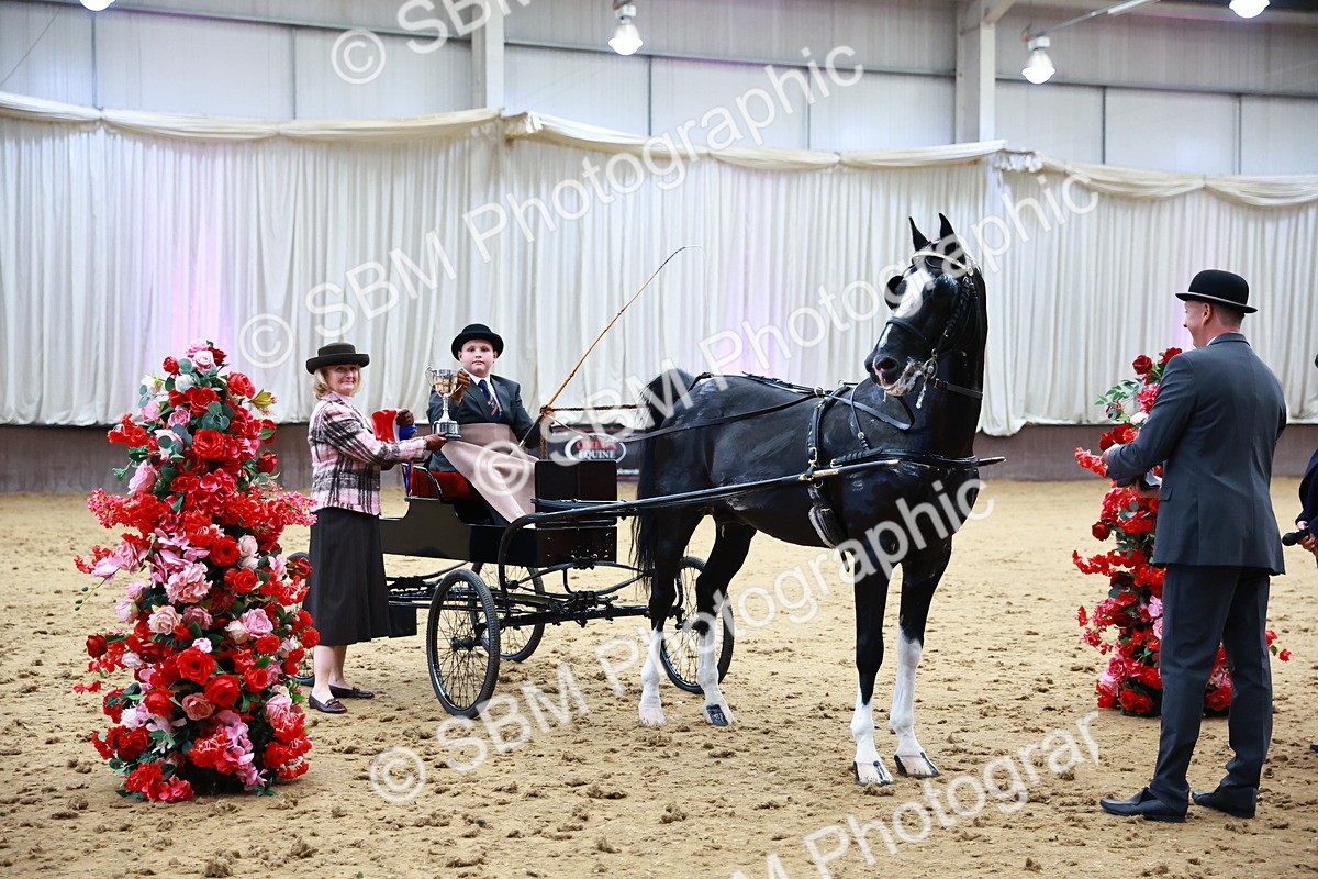 0B8A3923 - Class 13  - HHS Championship Intl Hackney Horse to a Show Wagon
