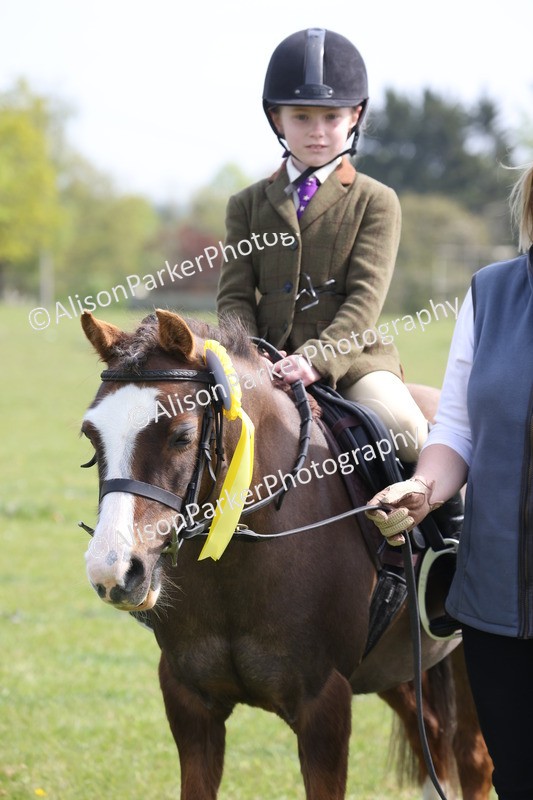 20260426-2622 - Class 31 - Leading Rein