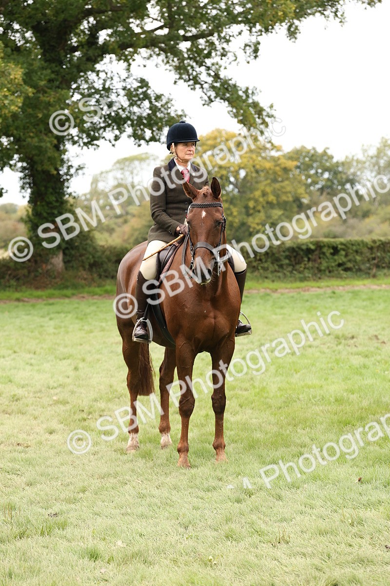 SBM_64272 - S65 - Riding Horse & Hack & Thoroughbred Ridden