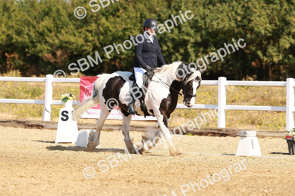 SBM_016764 - Class 9 - N5 Bronze 9.30.10.19