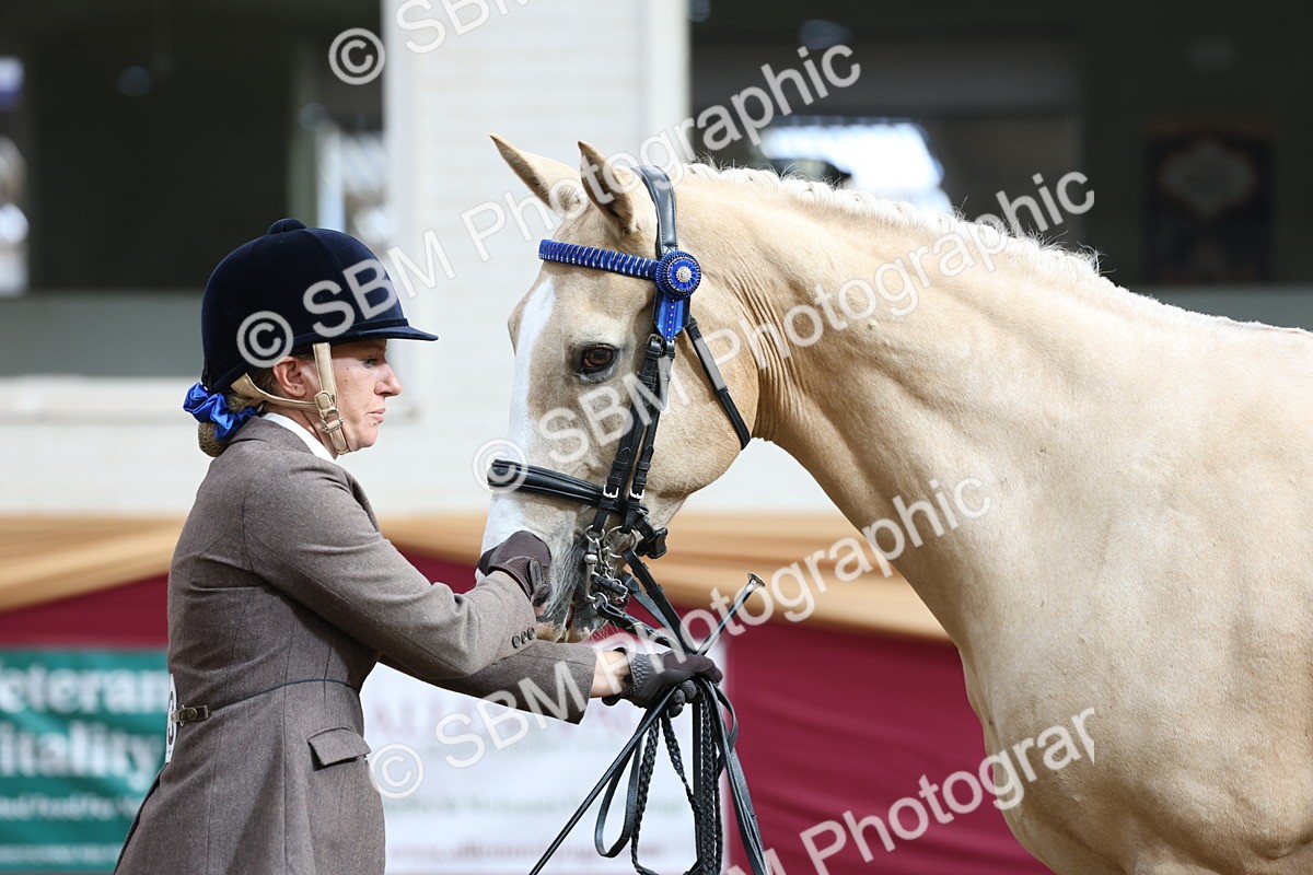 SBM_22483 - Class 902 - Supreme Final - IH Diamond