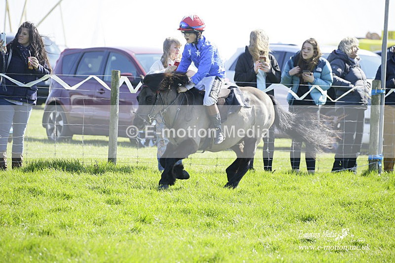 PtP 190322 87 - Wilton Hunt PtP Milborne St Andrew 19/03/22