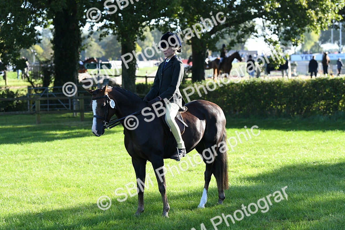 SBM_34010 - S16 - Condition & Turnout - Ridden