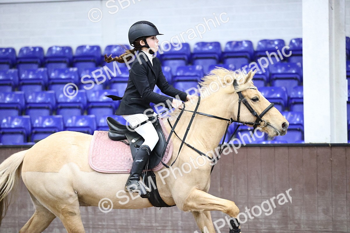 SBM_000338 - Class 2 - Pony British Novice - 80cm