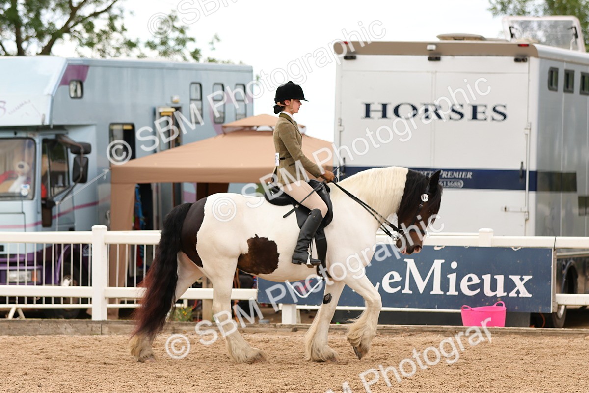 SBM_15636 - Class 215 - Ridden Traditional - Native Cobs