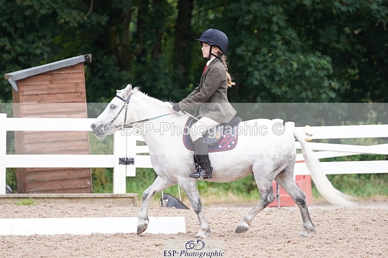 240809A-104718-00663 - Dressage Competition