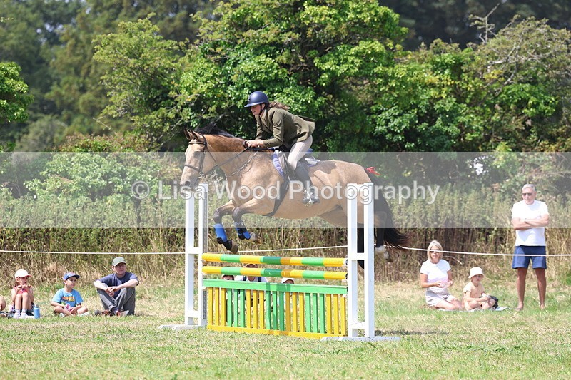 3E7A3000 - Class 7: Senior British Novice/90cm open