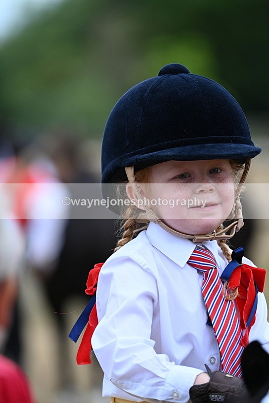 WJ7_8477 - Class 4 Prettiest Mare up to 14.2hh