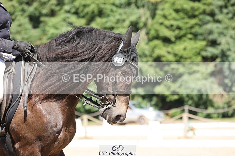 240719-151418-02789 - 224-Deborah_Randall-Esplendido