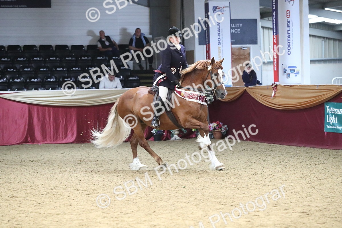 SBM_16544 - Class 502 M&M Ridden Supreme Final