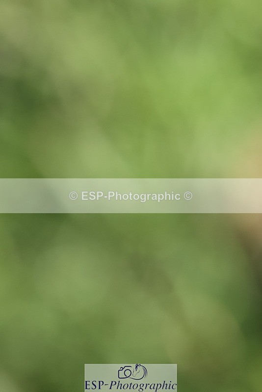 231022-120625-27225 - BE100 Presentations