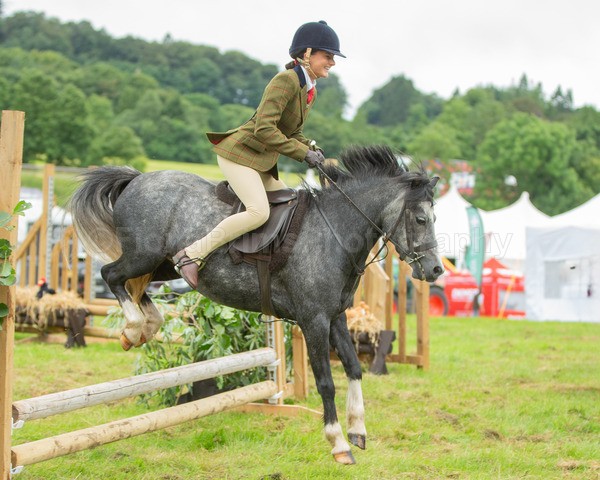 Dunblane show-55 - Dunblane and Doune Show Ring 1