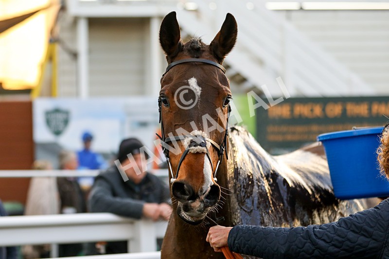 191223-Race 6-Fanfan Du Seuil-2774 - Race 6